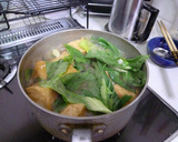 厚揚げと青梗菜の煮物作り方4写真