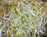 我が家のナムル（豆もやし）作り方1写真