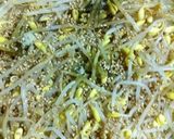 我が家のナムル（豆もやし）作り方3写真