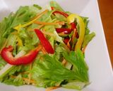 ヘルシー！カラフル野菜の彩りサラダ作り方4写真