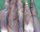 長期保存ができる…「破竹メンマ」作り方1写真