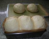 基本のパン生地☆手ごね☆作り方8写真