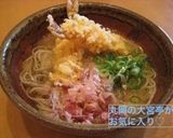 越前おろし蕎麦♡夏にピッタリ作り方12写真