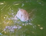 FPで簡単！ピザ生地作り方8写真