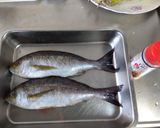 天然真鯛やイサキ等の美味しい食べ方作り方14写真