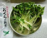 新芽の梅わさび海苔胡麻和え作り方1写真