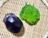 超簡単⭐︎ 水ナスとシソの梅昆布茶和え作り方1写真