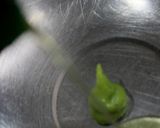 トマトと海老のタルト作り方14写真