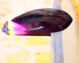 紫蘇と生姜が香る茄子のごちそう作り方1写真