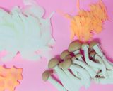 鮭のホイル焼き♡作り方1写真