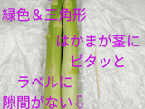 うちの☆アスパラ極める❣下処理＆保存方法