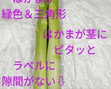 うちの☆アスパラ極める❣下処理＆保存方法作り方17写真