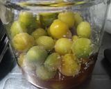 梅干し　昔ながらの味の強さ　簡単作り方4写真