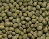 ひたし豆の煮豆☆塩茹で豆・青大豆作り方5写真