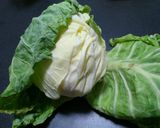 簡単！キャベツ保存方法作り方2写真