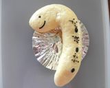 ちんあなごのウインナーパン♪成形二種作り方6写真