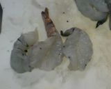 ふわっぷりっのエビマヨ作り方1写真