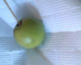 とっても簡単♡自家製梅酒の作り方作り方4写真