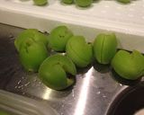 カリカリ☆梅シロップ作り方3写真