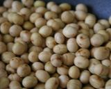 ひたし煎り大豆作り方2写真