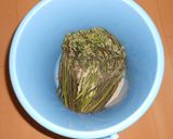 わらびのあく抜き作り方1写真