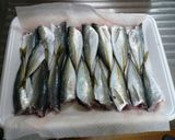 豆アジの南蛮漬け作り方6写真
