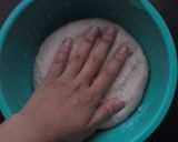 ヨーグルト酵母で木の実のかんぱーにゅ✿作り方9写真