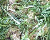 揚げナスの薬味和え作り方6写真