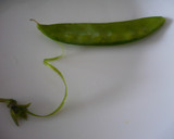 簡単副菜☆絹さやの卵とじ作り方1写真
