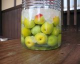 今年もできました♪南高梅の手作り梅酒作り方11写真