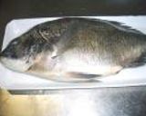 チヌ、黒鯛の刺身作り方1写真