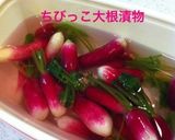 鮭フレーク弁当作り方9写真