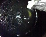 絶品♬炊飯器で塩鶏とだし汁作り方5写真