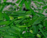 めんつゆのひき肉スープ作り方9写真