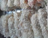塩麹で肉巻きフライ作り方6写真