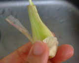きのさんの甘酢らっきょう作り方3写真
