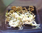 新玉葱×切り干し大根の梅海苔和え作り方1写真