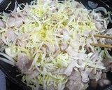 豚肉とキャベツの春巻き作り方3写真
