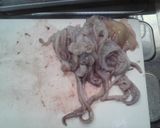 ほっぺた落ちる柔らか塩麹げそのバター焼き作り方1写真