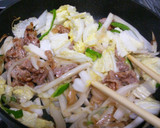 豚肉と白菜の中華風炒め作り方4写真