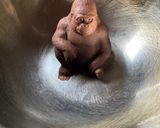 マウンテンゴリラガトーショコラ🦍作り方2写真