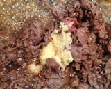 ”割り下”で簡単☆牛肉のしぐれ煮作り方7写真
