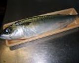 活さばの刺身＆酢〆。作り方1写真