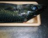 活さばの刺身＆酢〆。作り方2写真