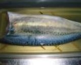 活さばの刺身＆酢〆。作り方9写真