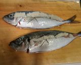 ふわっふわ♥鯵の塩麹焼き作り方4写真