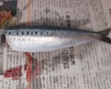 青魚を食べよう!いわしの蒲焼き作り方1写真