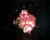 水前寺菜と牛肉の焼いたん　京都カフェ作り方3写真