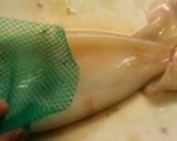 簡単★イカオクラ納豆★冷やし麺やごはんに作り方3写真