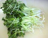 塩麹鶏肉から揚げさっぱりみぞれのせ★作り方3写真